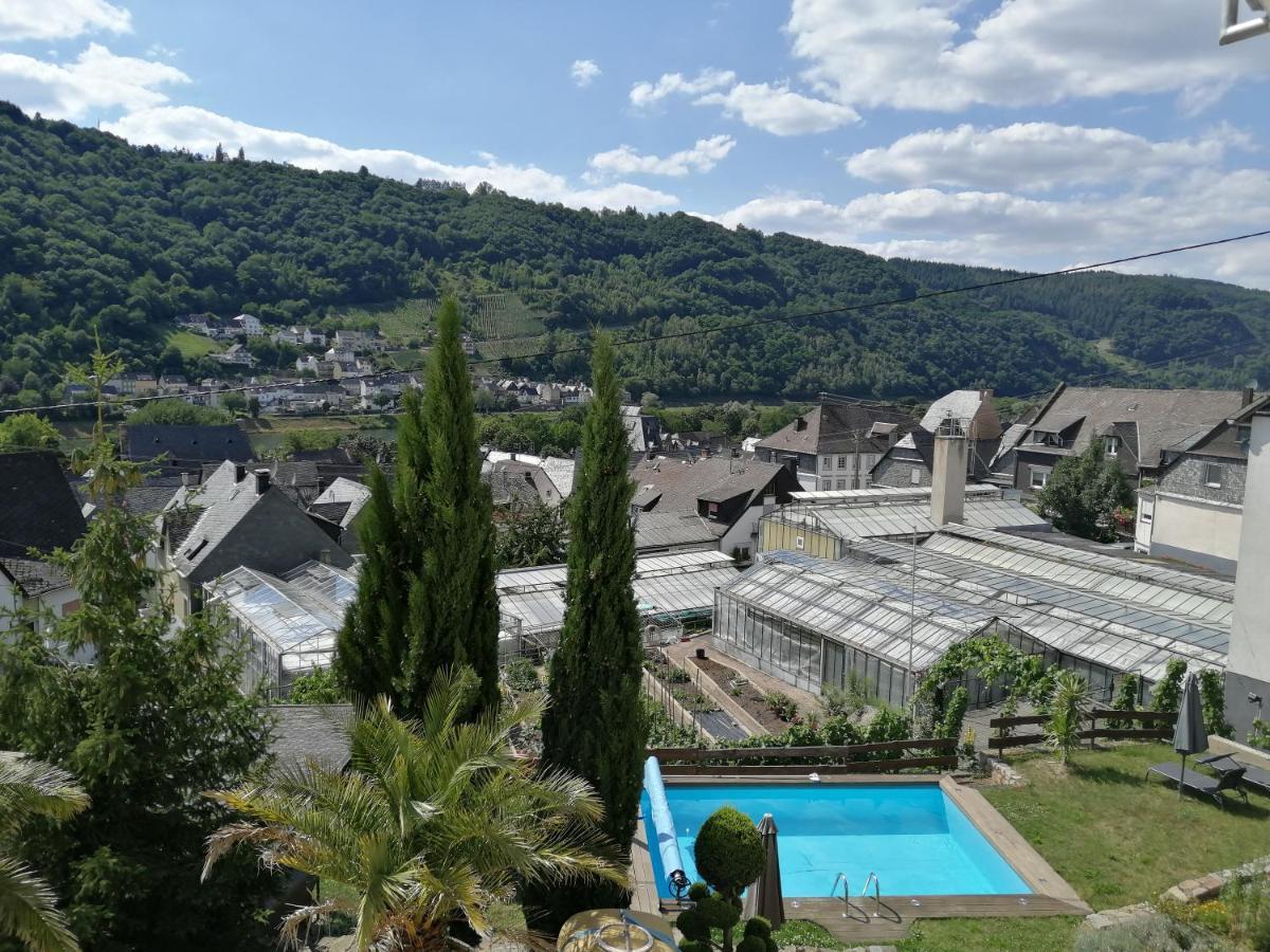 Hotel Weingut Stiftshof à Enkirch Extérieur photo