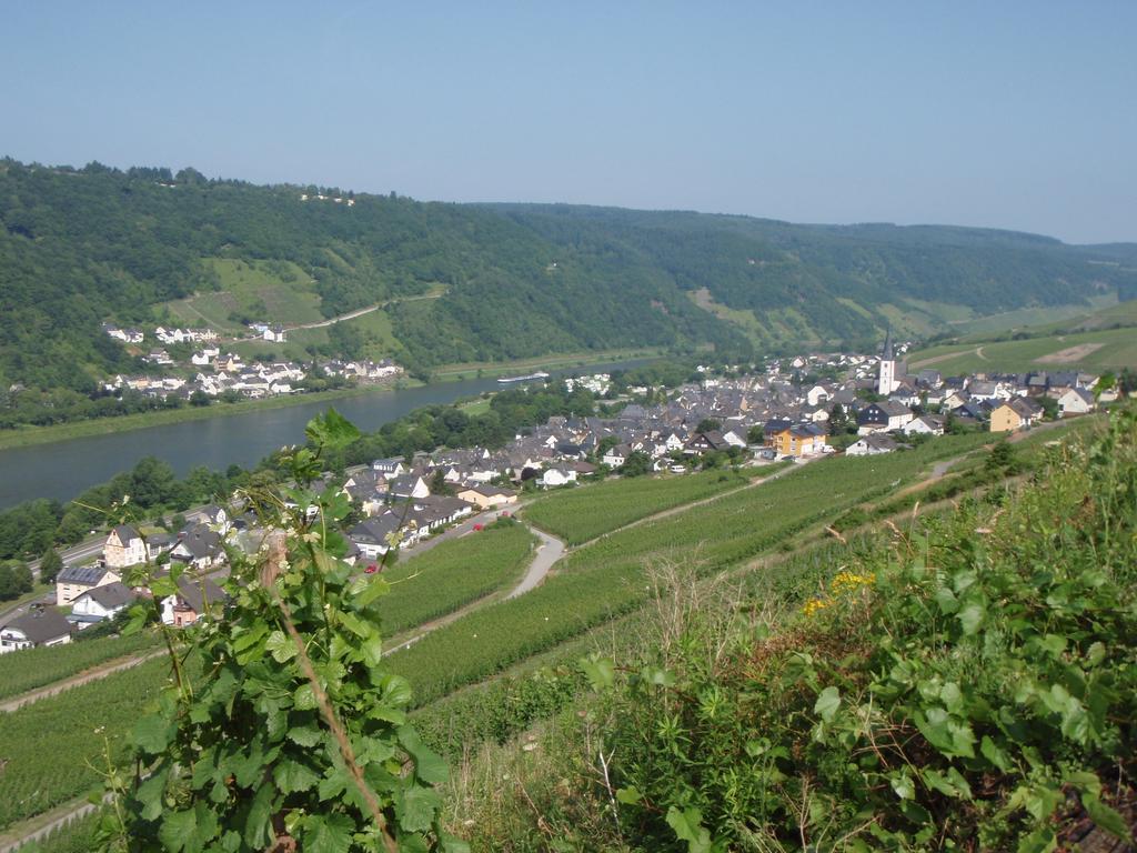 Hotel Weingut Stiftshof à Enkirch Extérieur photo