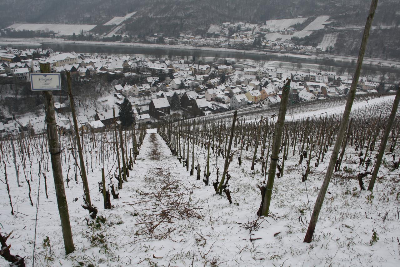 Hotel Weingut Stiftshof à Enkirch Extérieur photo